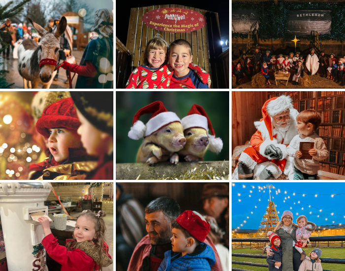 Magical Christmas Experience at Pennywell Farm Visit Totnes